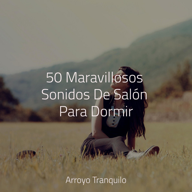50 Maravillosos Sonidos De Salón Para Dormir cover art