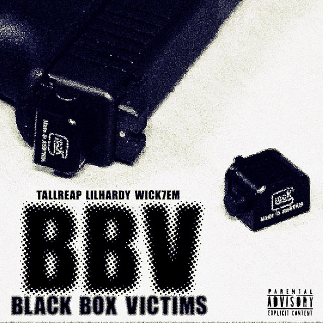 BBV (BLACK BOX VICTIMS) cover art