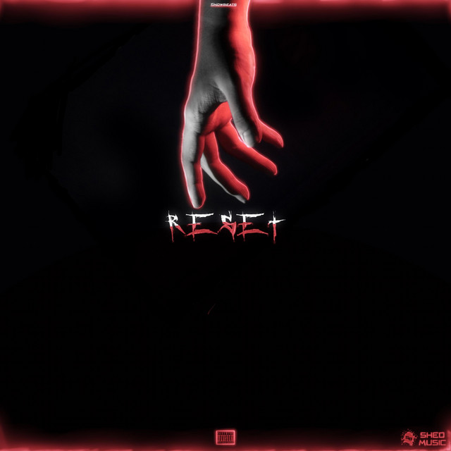 RESET cover art