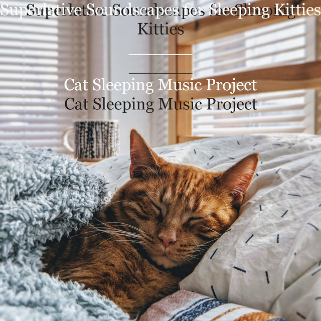 Superlative Soundscapes for Sleeping Kitties cover art
