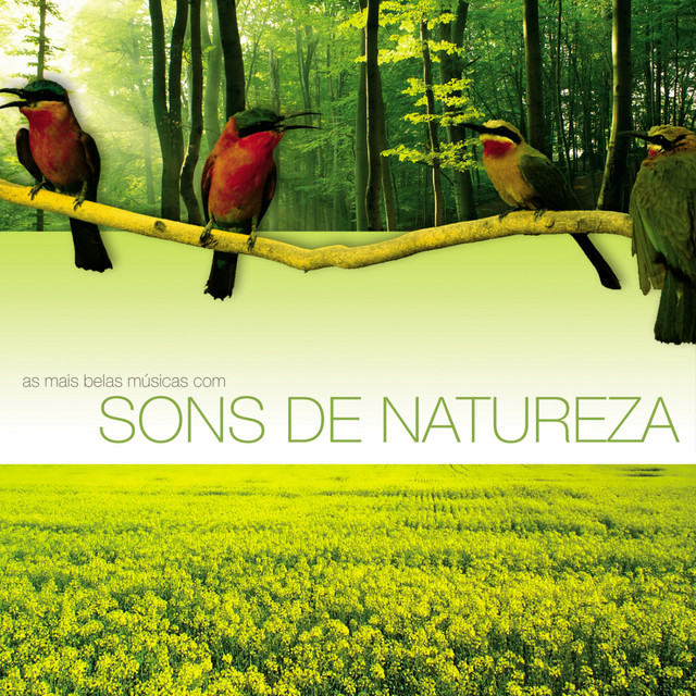 Orchestral Suite No. 3 in D Major, BMW 1068: II. Air on a G String