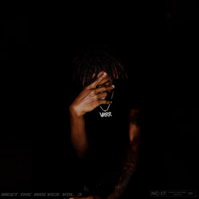 Meet The Wolves Vol. 3 - Album by 904 Varr | Spotify