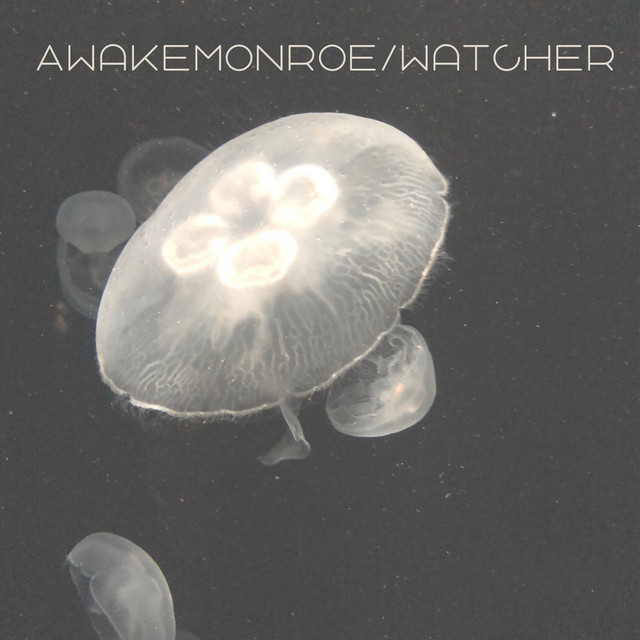 Awake Monroe / Watcher cover art