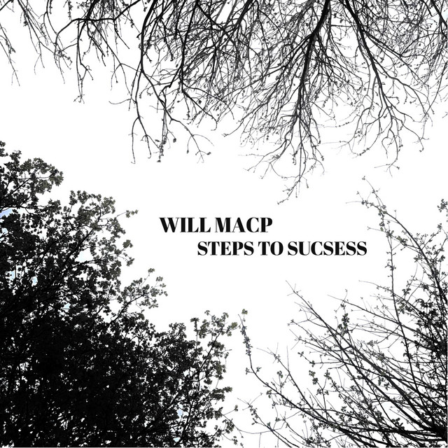 Steps To Sucsess cover art