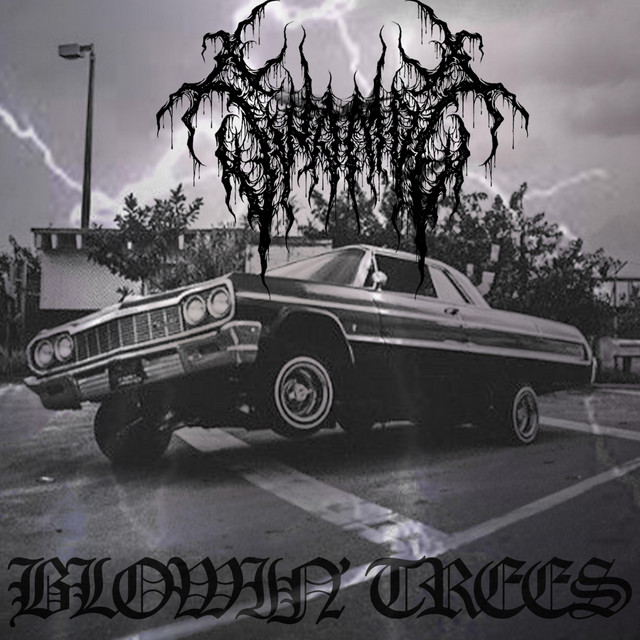 BLOWIN' TREES - Single by Swampz | Spotify