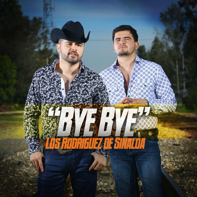 Bye Bye - Single by Los Rodriguez De Sinaloa | Spotify