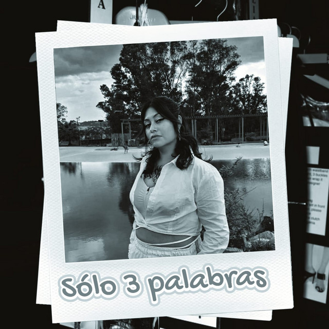 Sólo 3 Palabras (2013)