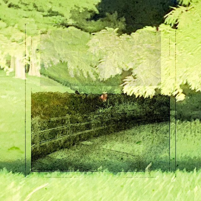 WAITING. cover art