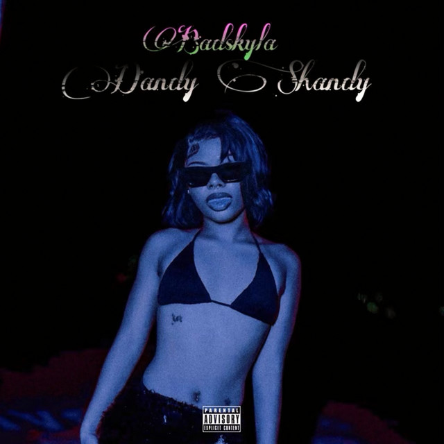 Dandy Shandy album image