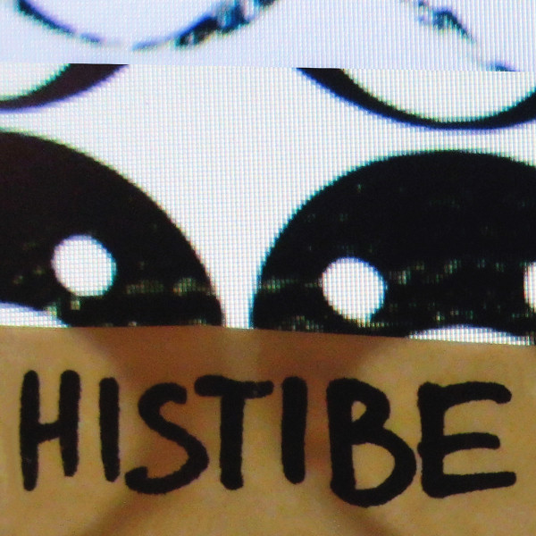 Обкладинка Histibe — Take the Form