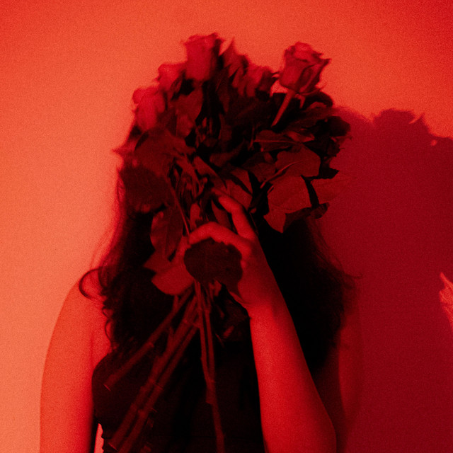 dozen roses (live) cover art