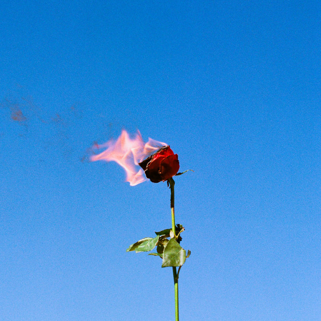 Glass Hearts (How Much You Mean)