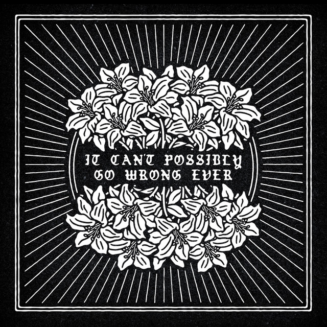 It Can't Possibly Go Wrong Ever cover art