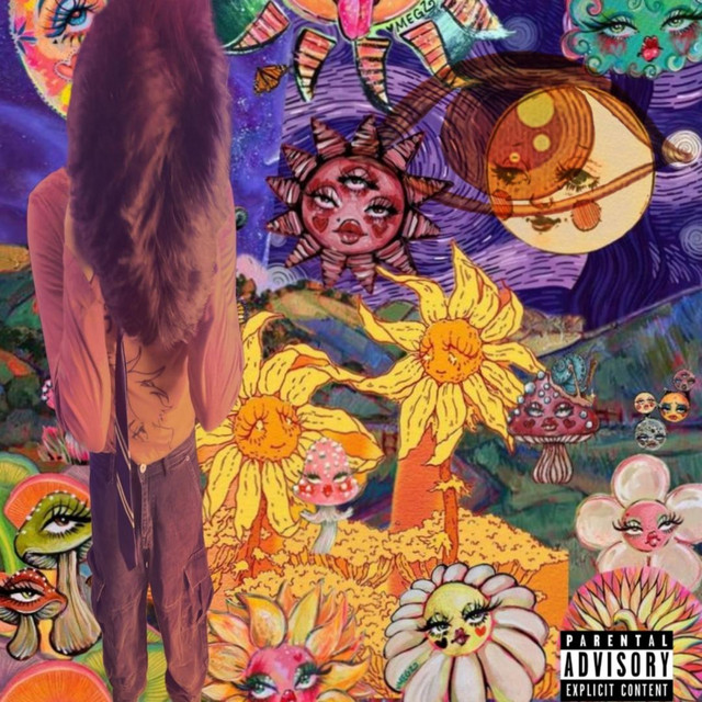 saddle cover art