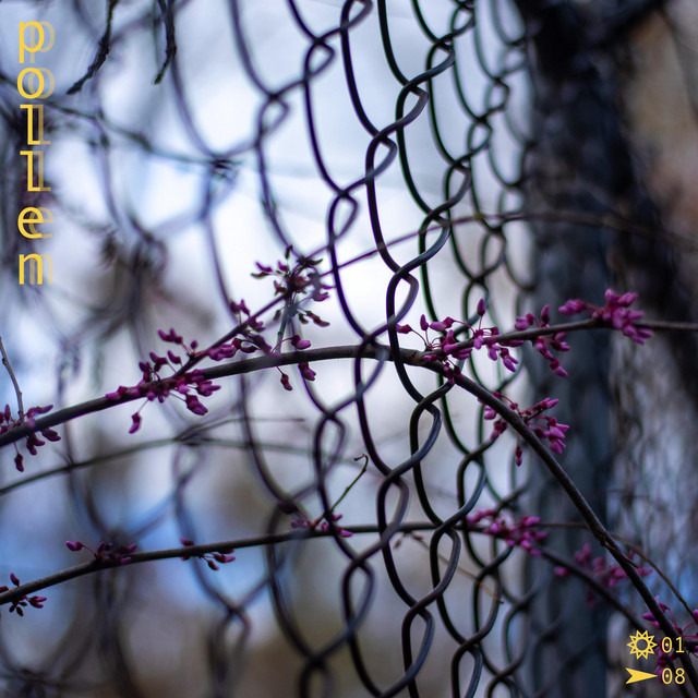 pollen cover art