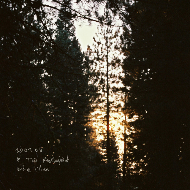 Mockingbird cover art