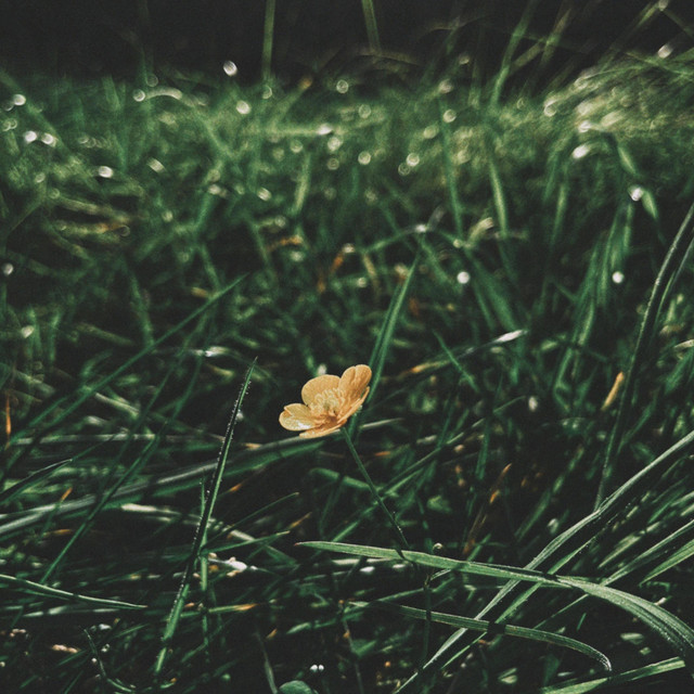 Dark Spots cover art