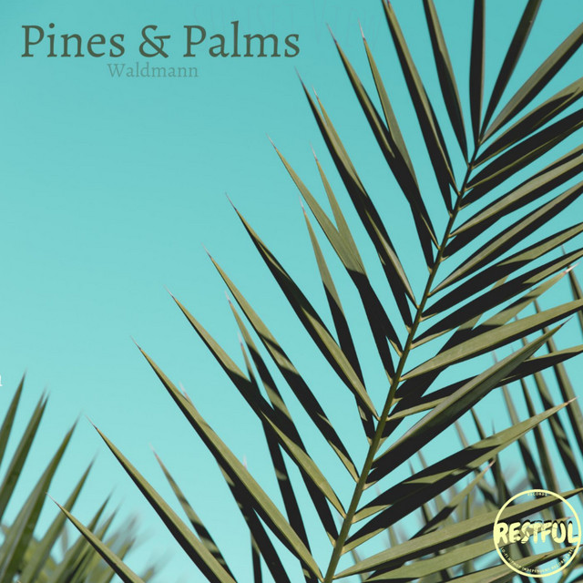 Pines & Palms