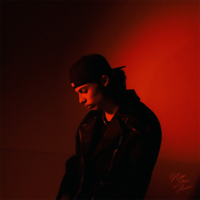 Não chore por amor cover art