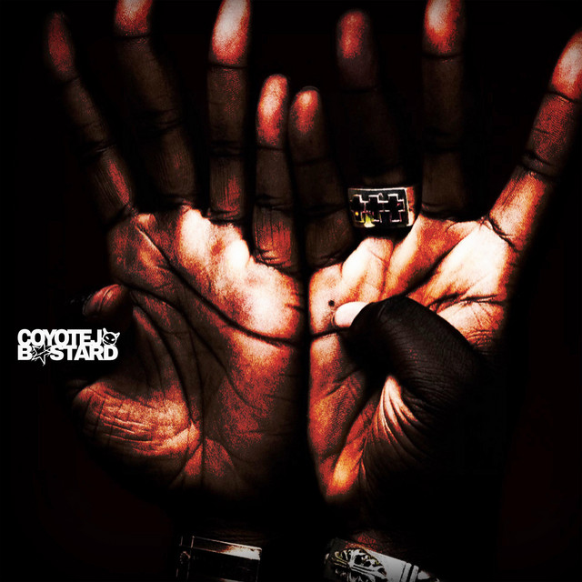 undefined album image