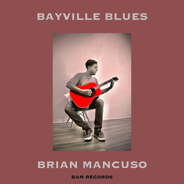 Bayville Blues cover art