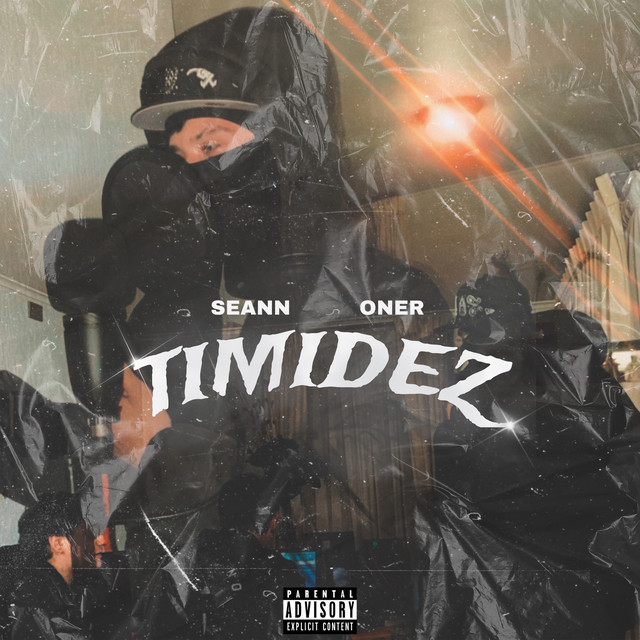 Timidez cover art