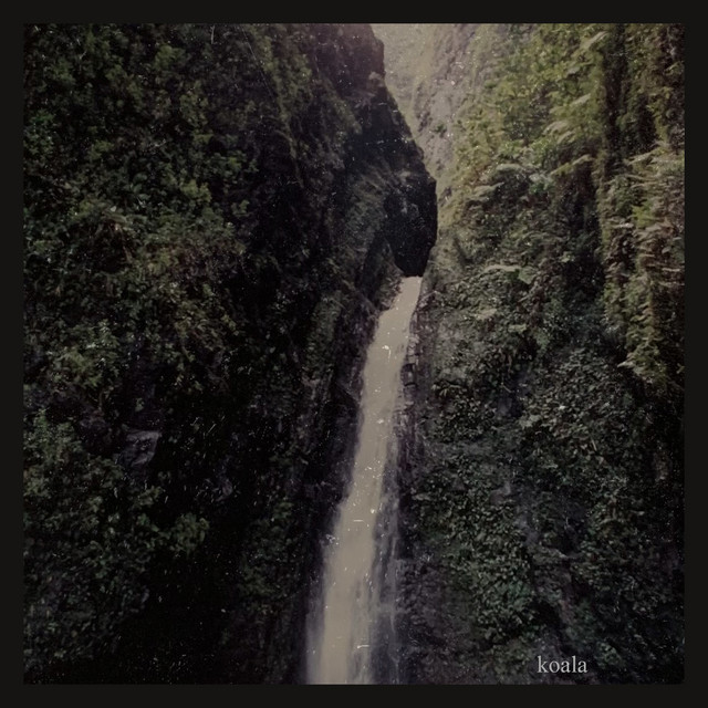 koala cover art