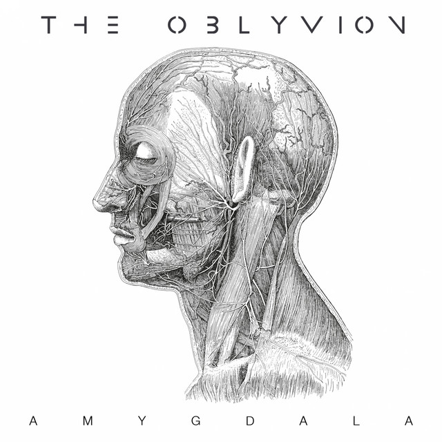 Amygdala cover
