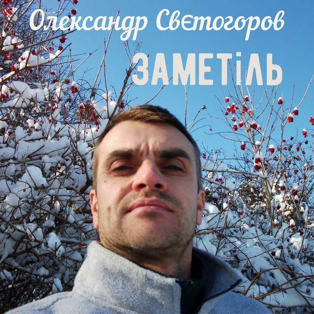 Обкладинка: Заметіль — Олександр Свєтогоров