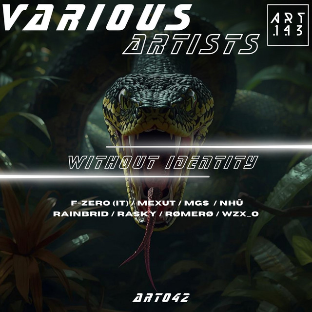 Without Identity cover art