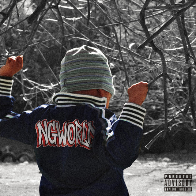 Cover art for ngvoi24 — NGWORLD