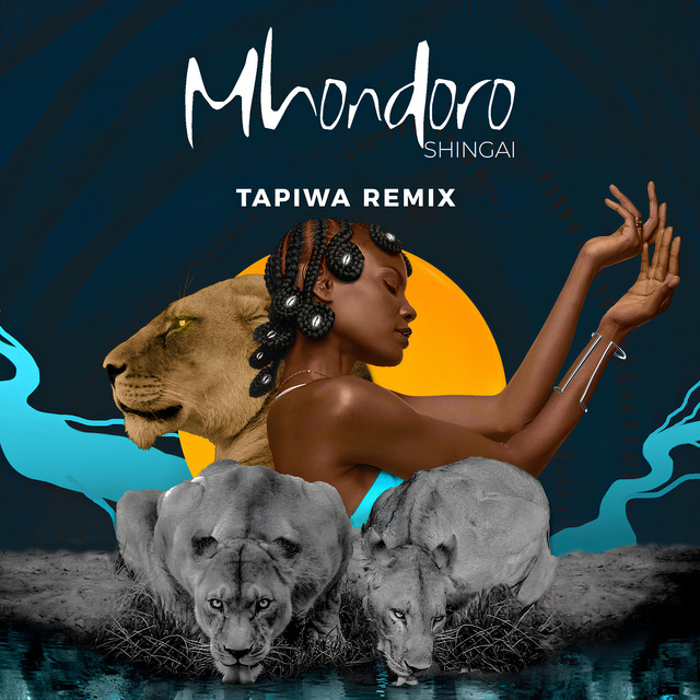Mhondoro - Tapiwa Remix