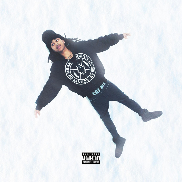 The Percs Of Being Maree cover art