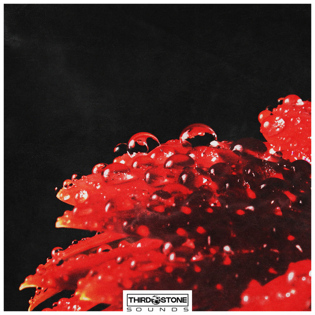red cover art