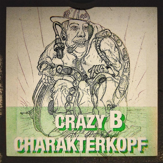 Chance genutzt cover art