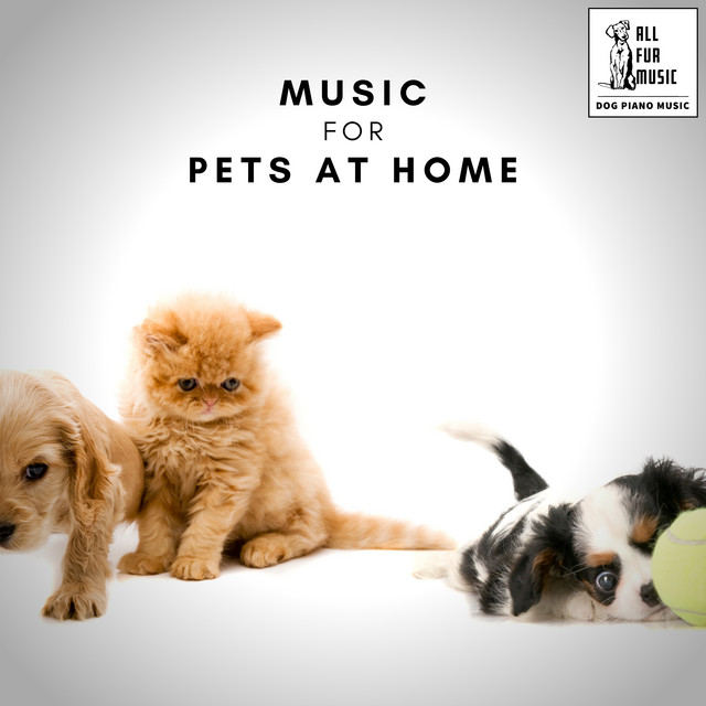 Music For Pets At Home cover art