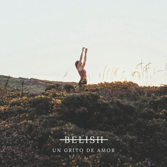 UN GRITO DE AMOR cover art