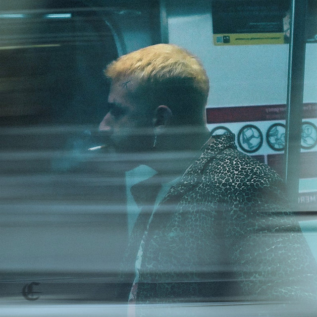 While I'm In It cover art