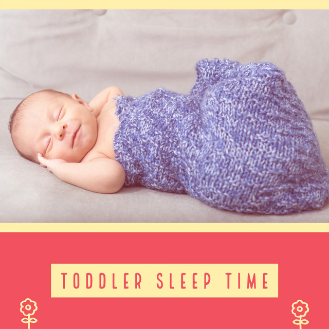 Toddler Music For Sleep cover art
