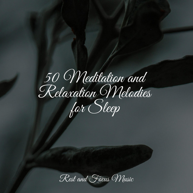50 Meditation and Relaxation Melodies for Sleep - Album by Baby Sleep ...