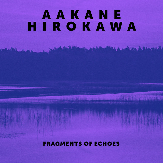Fragments of Echoes