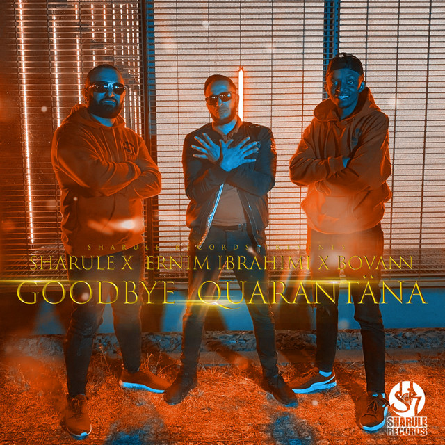 Goodbye Quarantäna - Single by Sharule | Spotify