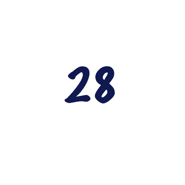 28 cover art