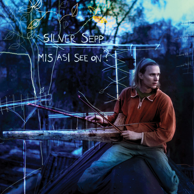 Mis asi see on? cover art