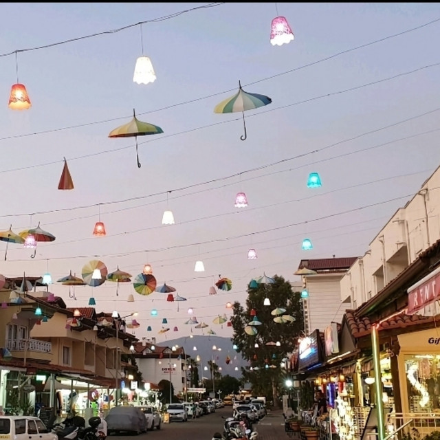 Never Even Shook off the Doubt