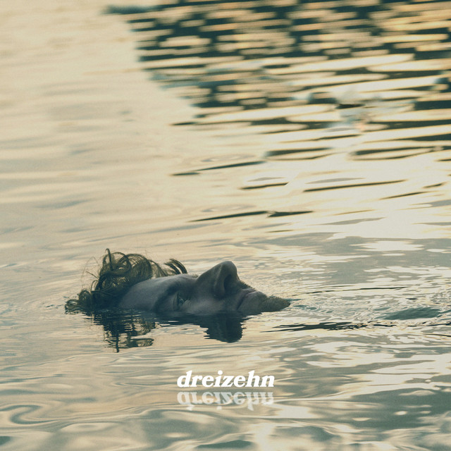 Dreizehn cover