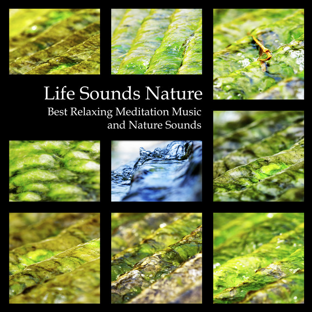 Life Sounds Nature - Best Relaxing Meditation Music and Nature Sounds cover art