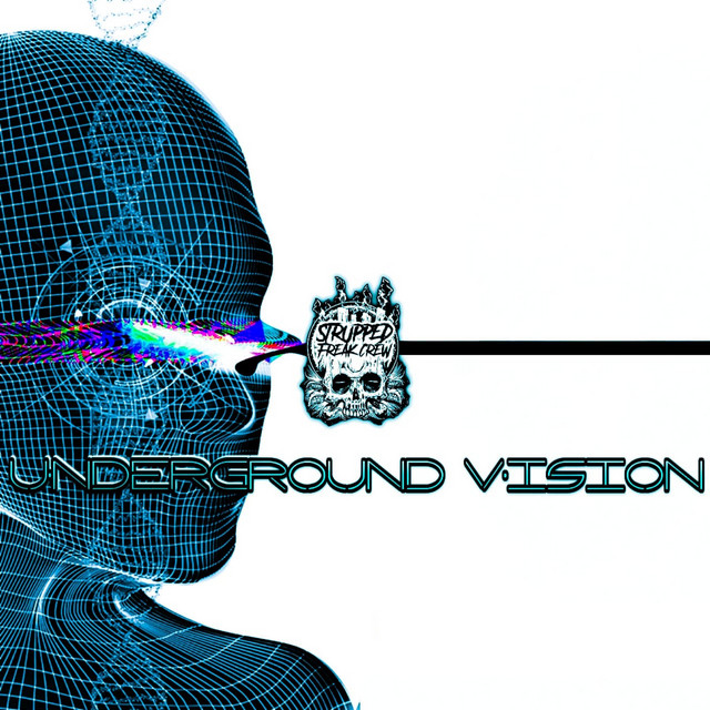Underground Vision cover art