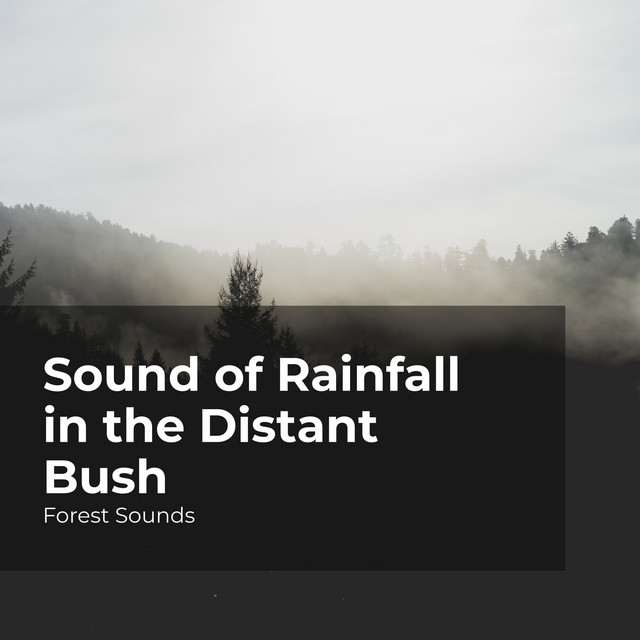 Sound of Rainfall in the Distant Bush - Album by Forest Sounds | Spotify