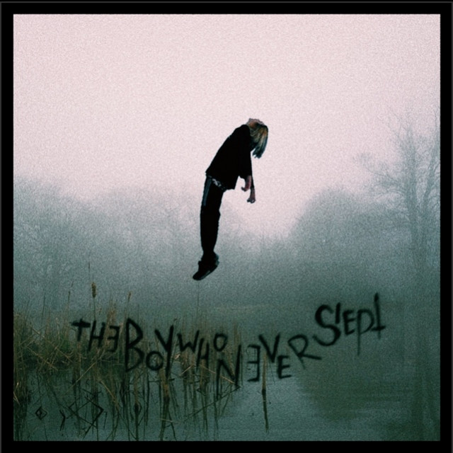 The Boy Who Never Slept cover art
